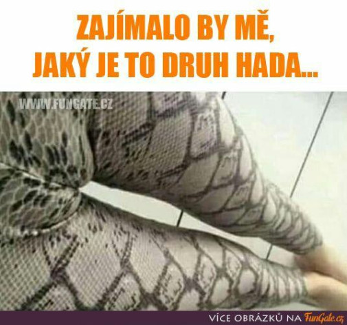 zajímalo by mě